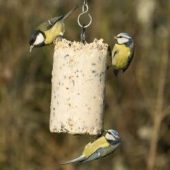 Variationspaket Mit 12 Energiekuchen 500 Ml 25 Variationspaket Mit 12 Energiekuchen 500 Ml -Geflügelbedarf Verkäufe 2024 10021 1 1 1