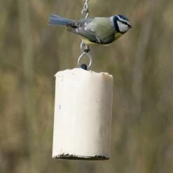 Geflügelbedarf Verkäufe 2024 -Geflügelbedarf Verkäufe 2024 10022 4 1