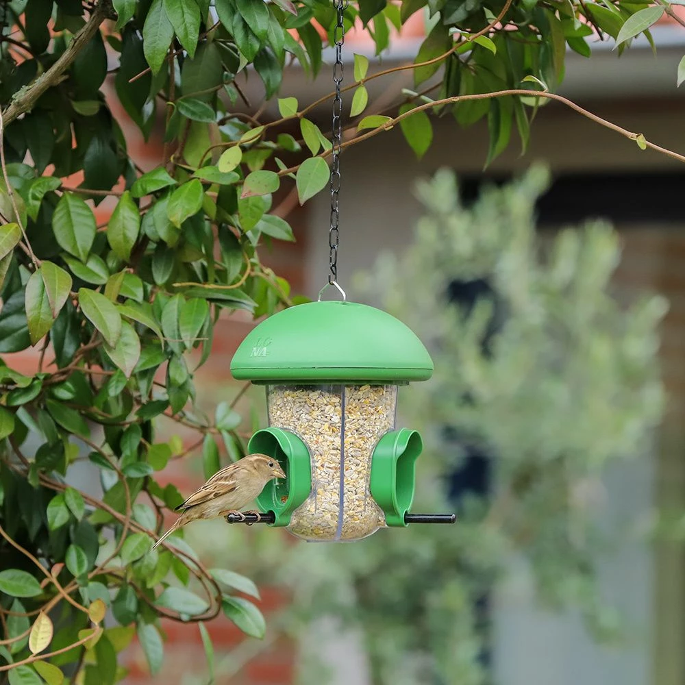 LONA Futterspender S6 Grun 4 LONA Futterspender S6 Grun – Bild 2