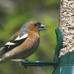 Futtersäule Metall 23 Cm Grün -Geflügelbedarf Verkäufe 2024 31030 1 2