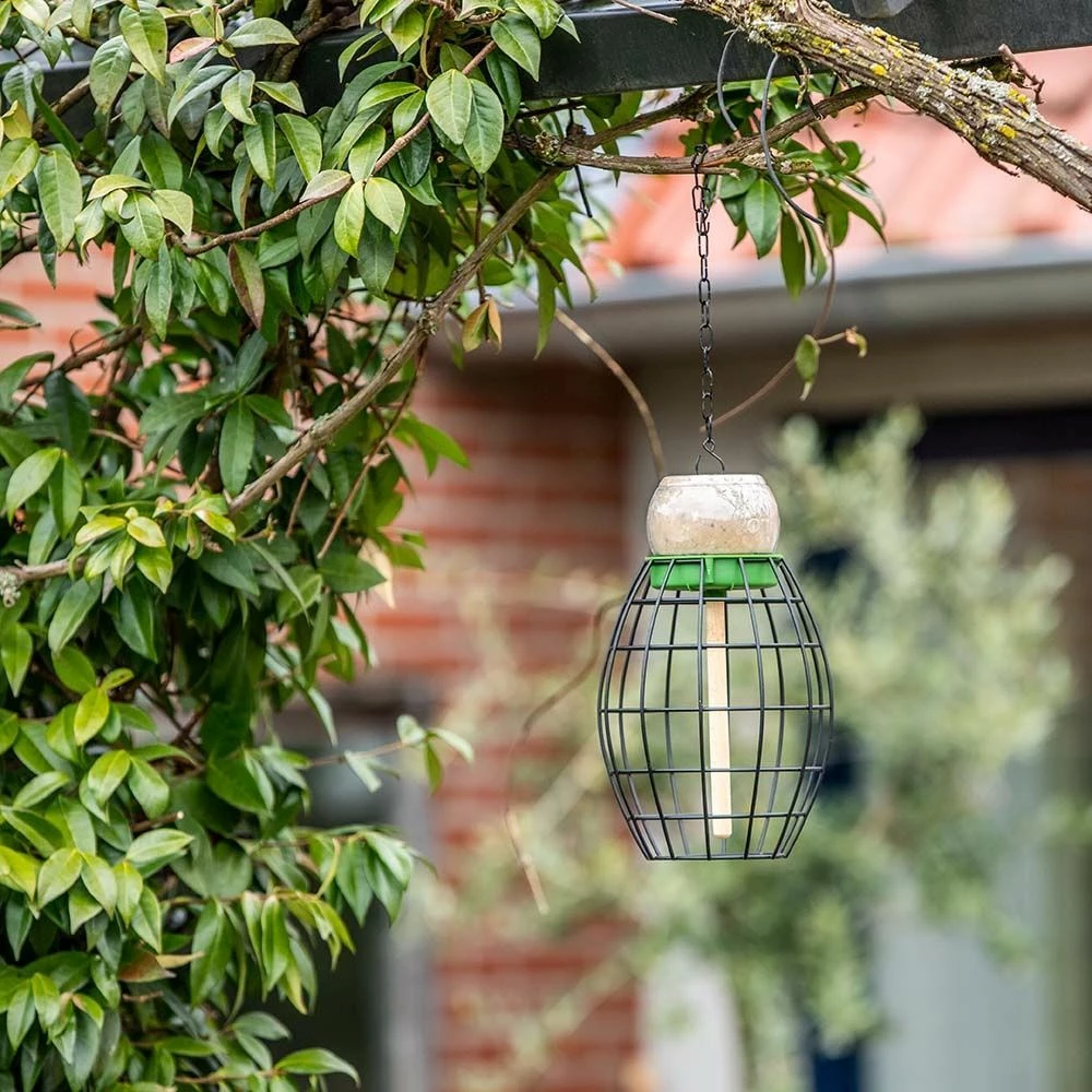 LONA Futterkorb V1 Oval 3 LONA Futterkorb V1 Oval