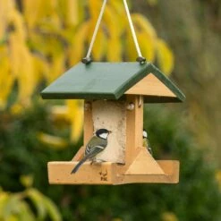 Energiekuchen-Haus „Alpine“