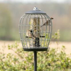 Schutz-Futtersäule Für Kleine Vögel „Aura“ 7 Schutz-Futtersäule Für Kleine Vögel „Aura“ -Geflügelbedarf Verkäufe 2024 35109 3 2