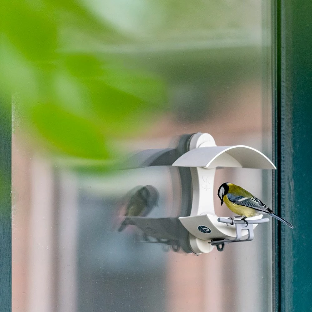 Fenster-Futtertisch - Eichelform 4 Fenster-Futtertisch - Eichelform – Bild 2