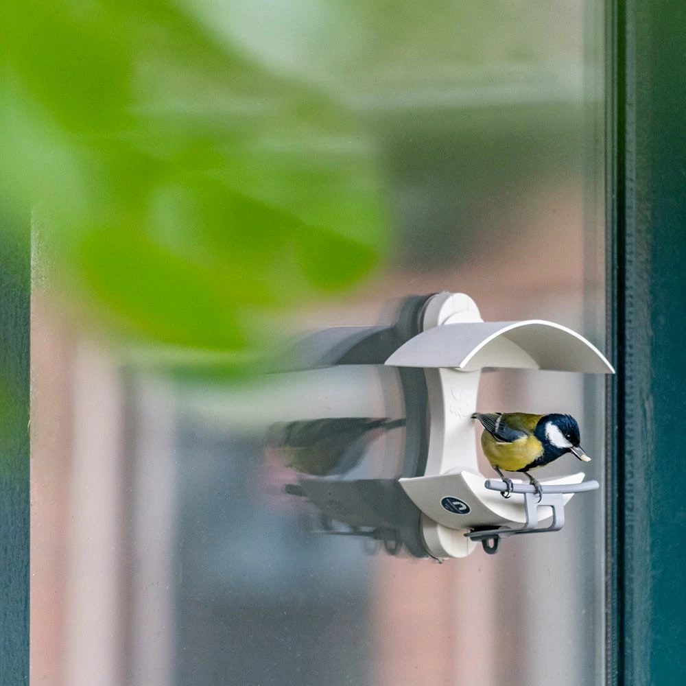 Fenster-Futtertisch - Eichelform 3 Fenster-Futtertisch - Eichelform