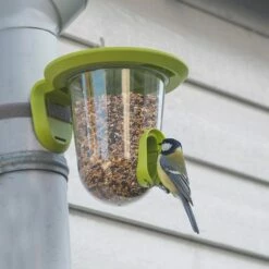 SingingFriend FeedR Grün