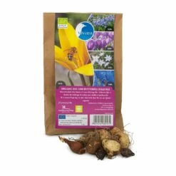 Bio-Blumenzwiebelmix Für Bienen & Schmetterlinge, 25 Stück