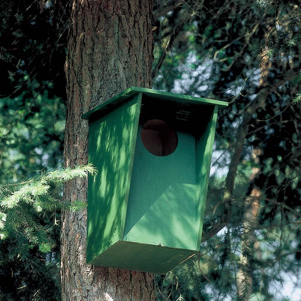 Nistkasten Waldkauz 130 Mm 4 Nistkasten Waldkauz 130 Mm – Bild 2