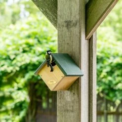 Nistkasten Für Zaunkönig „Peru“ Halboffen -Geflügelbedarf Verkäufe 2024 905010119 jvg 8394