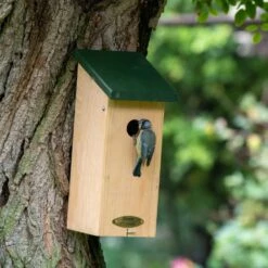 Nistkasten „San Diego“ 32 Mm