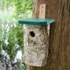 Nistkasten Star „Göteborg“ 45 Mm -Geflügelbedarf Verkäufe 2024 90774 1