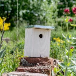 Nistkasten „Rovaniemi" Ø 32 Mm -Geflügelbedarf Verkäufe 2024 909770119 jvg 7185