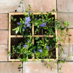 Pflanzgefäß Aus Holz "Kachelgarten" -Geflügelbedarf Verkäufe 2024 921260119 wooden ground planter dv 9222