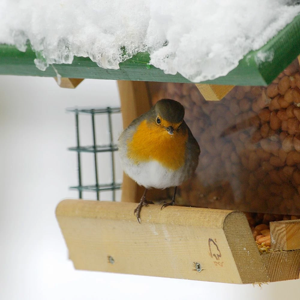 Futterhaus „Osnabrück“ 4 Futterhaus „Osnabrück“ – Bild 2