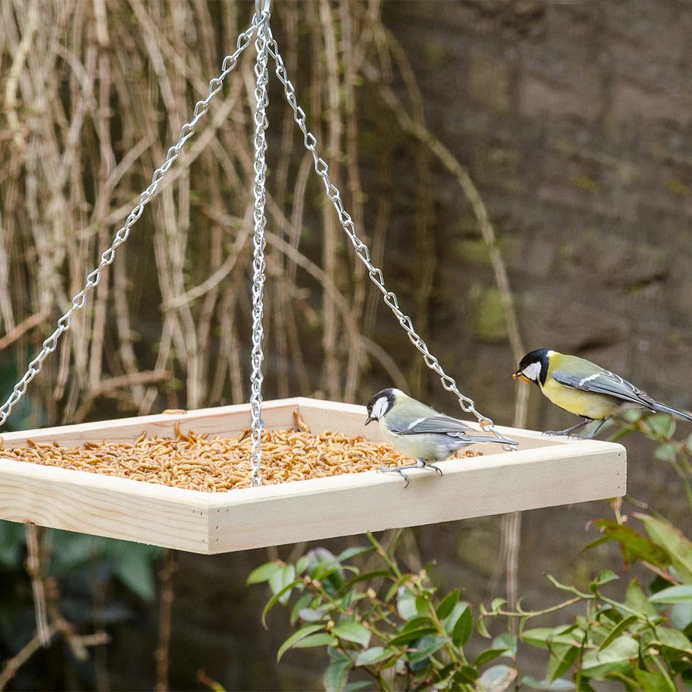 Hängender Futtertisch 3 Hängender Futtertisch
