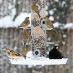 Auffangschale „Maxi“ 7 Auffangschale „Maxi“ -Geflügelbedarf Verkäufe 2024 94061 large feeder tray 33000 conqueror 1