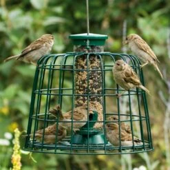 Schutzpaket Für Saaten-Futtersäule 23 Cm 5 Schutzpaket Für Saaten-Futtersäule 23 Cm -Geflügelbedarf Verkäufe 2024 94542 2