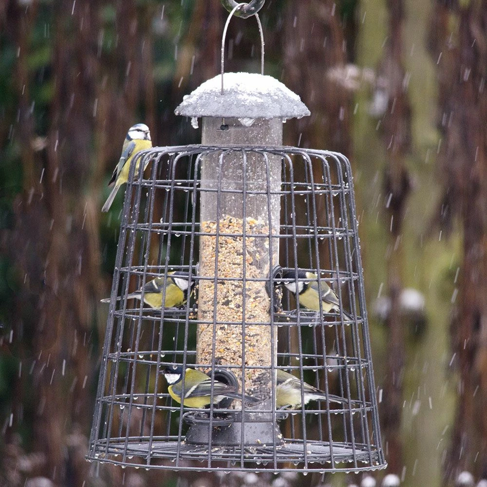 Schutzpaket Für Futtersäule „Maximum“ 40 Cm 4 Schutzpaket Für Futtersäule „Maximum“ 40 Cm – Bild 2