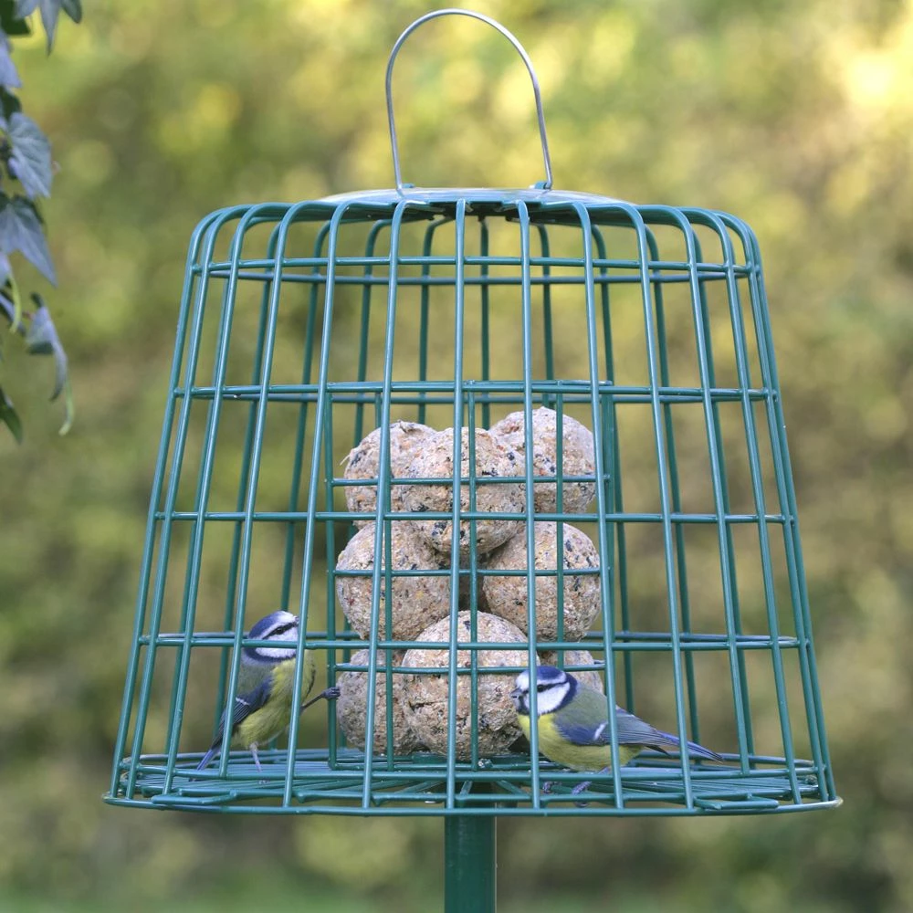 Multi-Schutzkäfig 6 Multi-Schutzkäfig – Bild 4