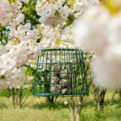 Multi-Schutzkäfig 10 Multi-Schutzkäfig -Geflügelbedarf Verkäufe 2024 945500119 multi beschermkooi 102770119 ultimate fat balls dv 0675