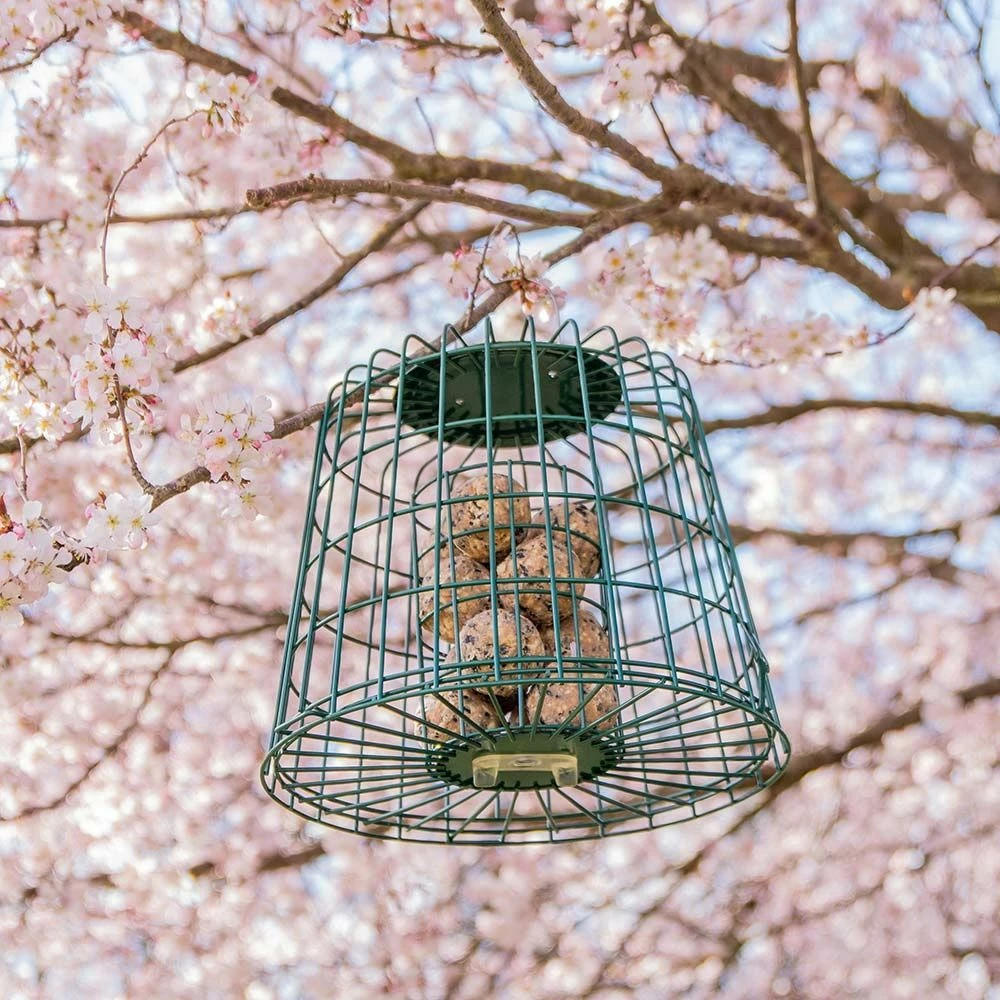 Multi-Schutzkäfig 4 Multi-Schutzkäfig – Bild 2