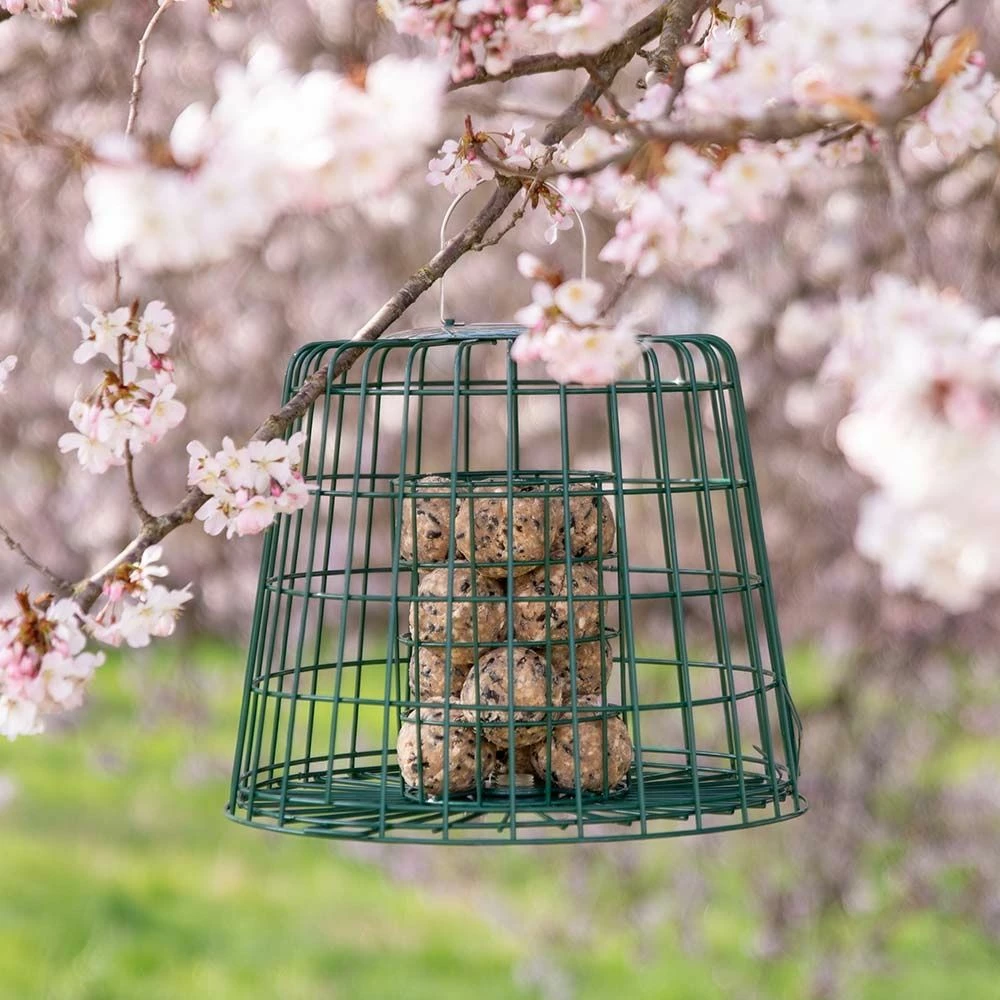 Multi-Schutzkäfig 3 Multi-Schutzkäfig