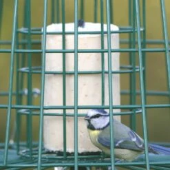 Multi-Schutzkäfig 13 Multi-Schutzkäfig -Geflügelbedarf Verkäufe 2024 94550 2