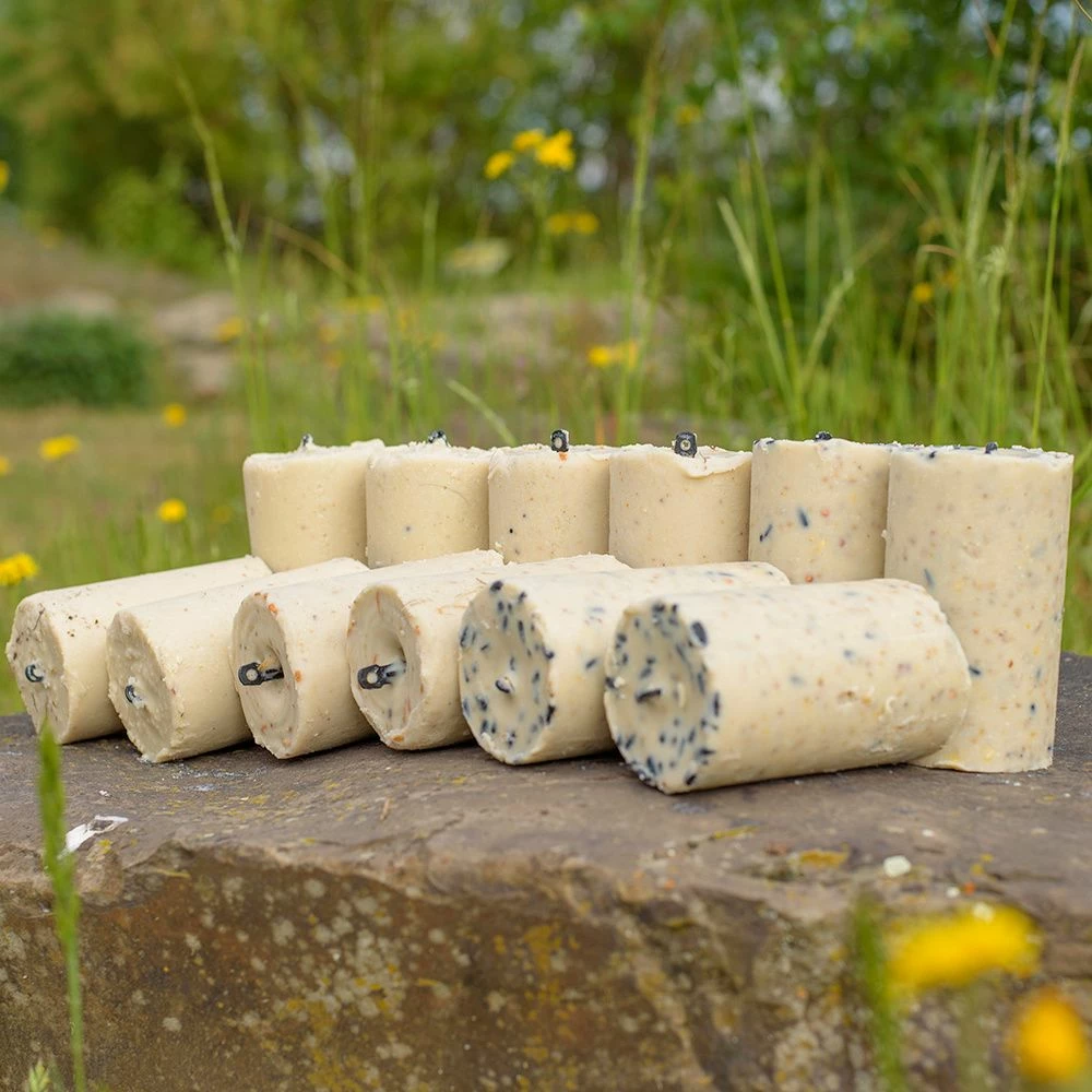 Variationspaket Mit 12 Energiekuchen 500 Ml 9 Variationspaket Mit 12 Energiekuchen 500 Ml – Bild 7