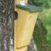 Nistkasten Baumläufer 2 Nistkasten Baumläufer -Geflügelbedarf Verkäufe 2024 david 6058 90120