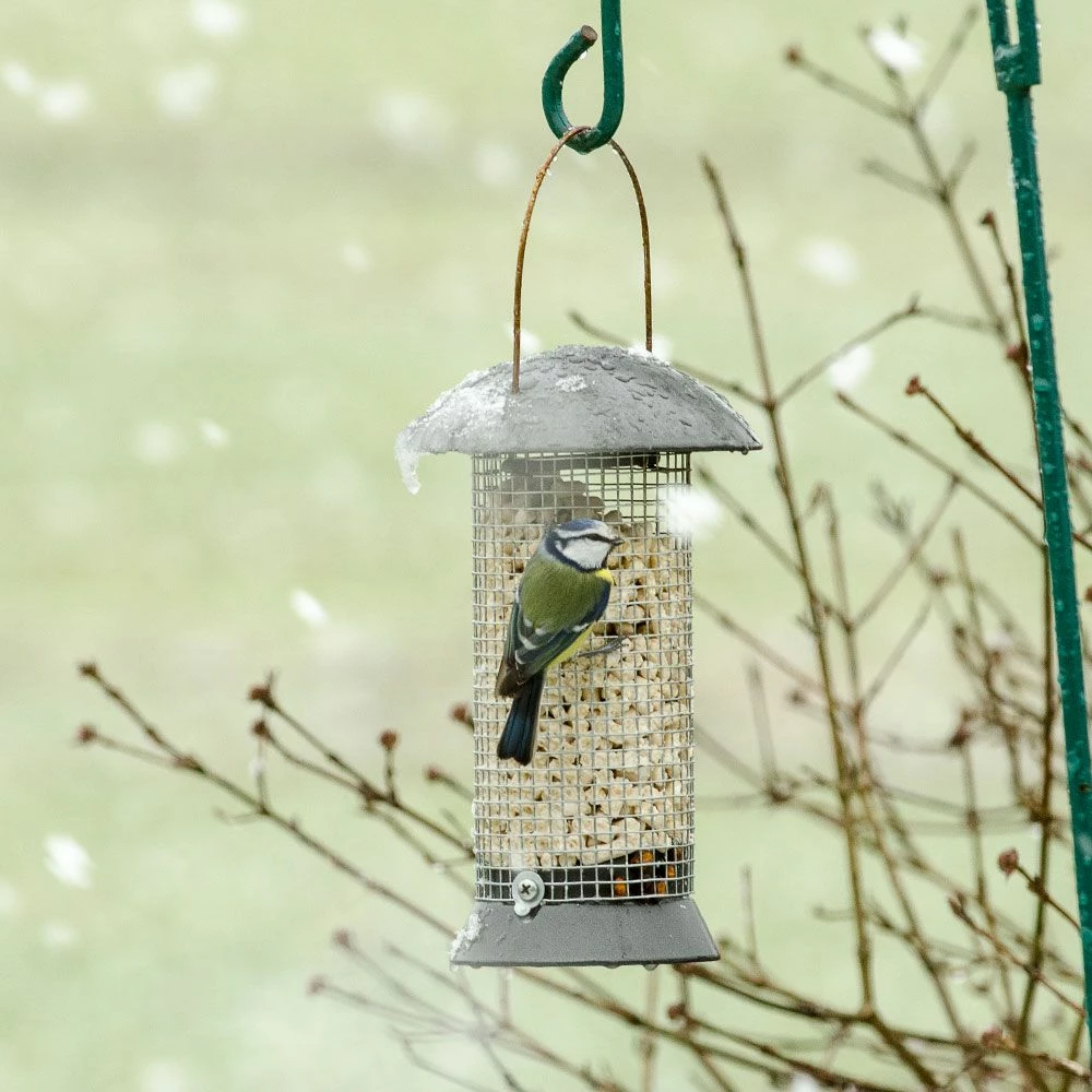 Erdnußsäule „Maximum“ 24 Cm 6 Erdnußsäule „Maximum“ 24 Cm – Bild 4