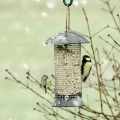 Erdnußsäule „Maximum“ 24 Cm 8 Erdnußsäule „Maximum“ 24 Cm -Geflügelbedarf Verkäufe 2024 erdnusssaule maximum 24cm 33025 2 2