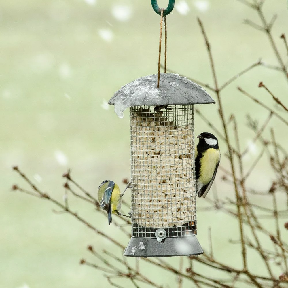 Erdnußsäule „Maximum“ 24 Cm 5 Erdnußsäule „Maximum“ 24 Cm – Bild 3