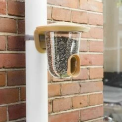 SingingFriend FeedR Braun -Geflügelbedarf Verkäufe 2024 f002 regenpijp 2