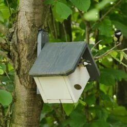 Nistkasten „Zürich“ 32 Mm -Geflügelbedarf Verkäufe 2024 nistkasten zurich 90781 2 1