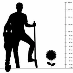 Schokoladen-Minze (Mentha Pip. 'Chocolate'), 4 Stück -Geflügelbedarf Verkäufe 2024 silhouette 50cm 15 1