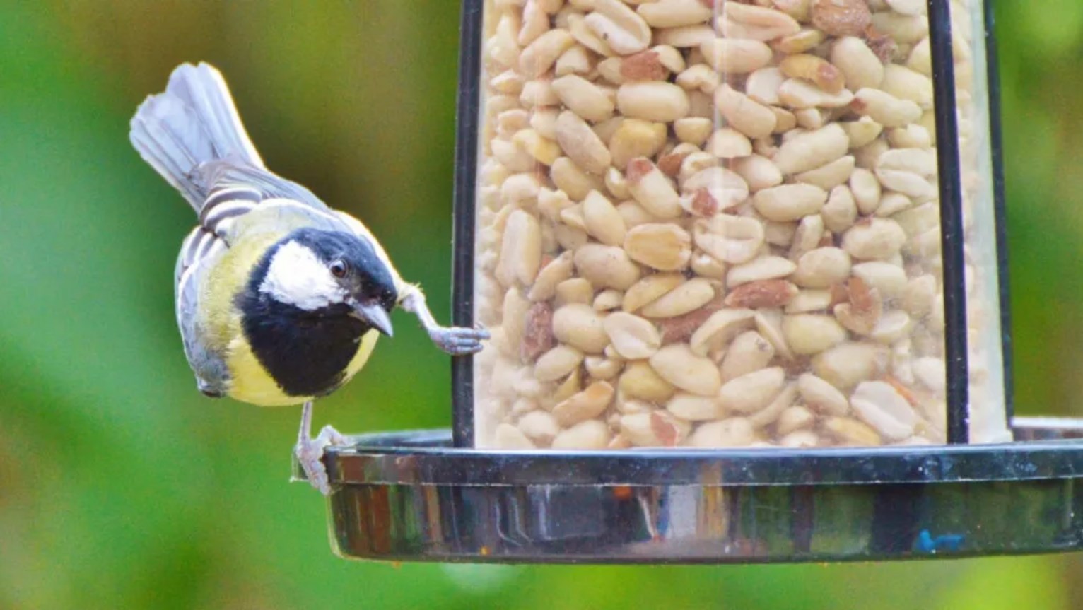 Geflügelbedarf Verkäufe 2024 -Geflügelbedarf Verkäufe 2024 Dingtalk 20240416160139